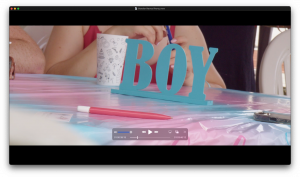 Mahefasoa PINEAU - LAED Compagnie