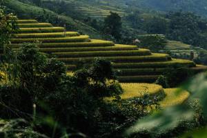 Noémy SMECICAS - SMECICAS NOEMY